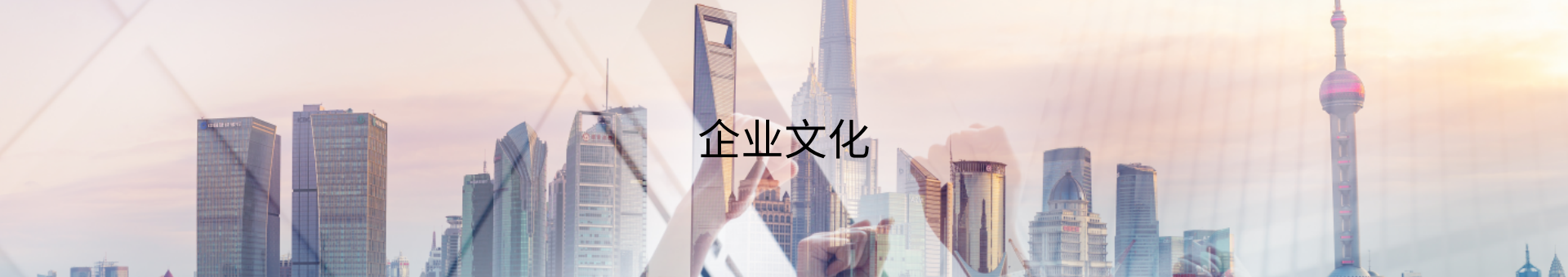 拼搏网页版登录入口